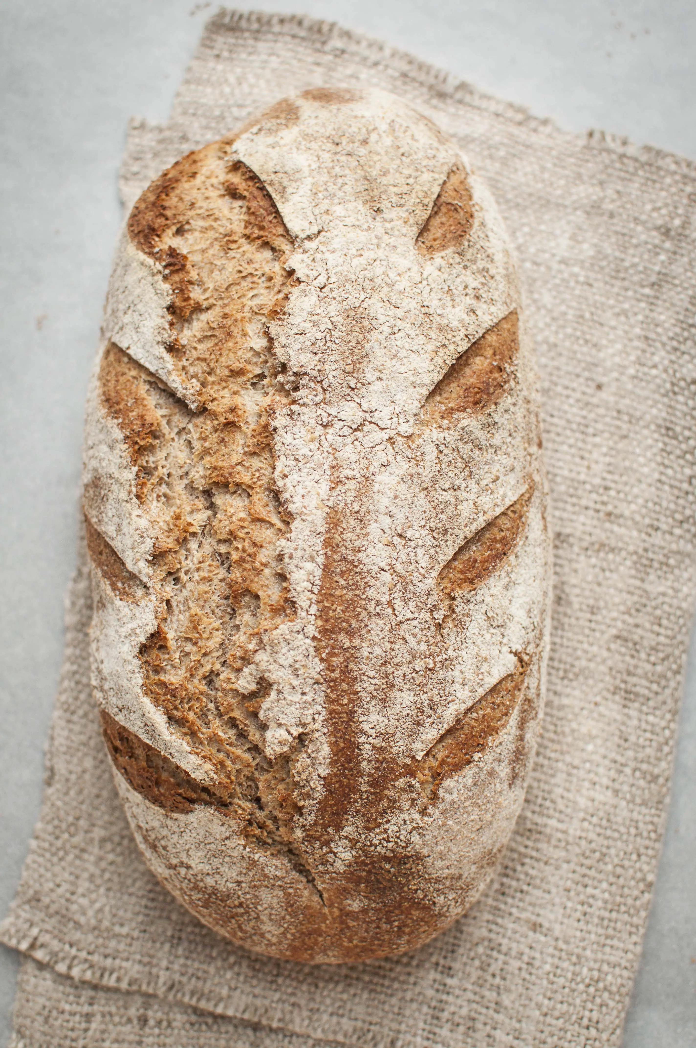 Whole grain wheat loaf