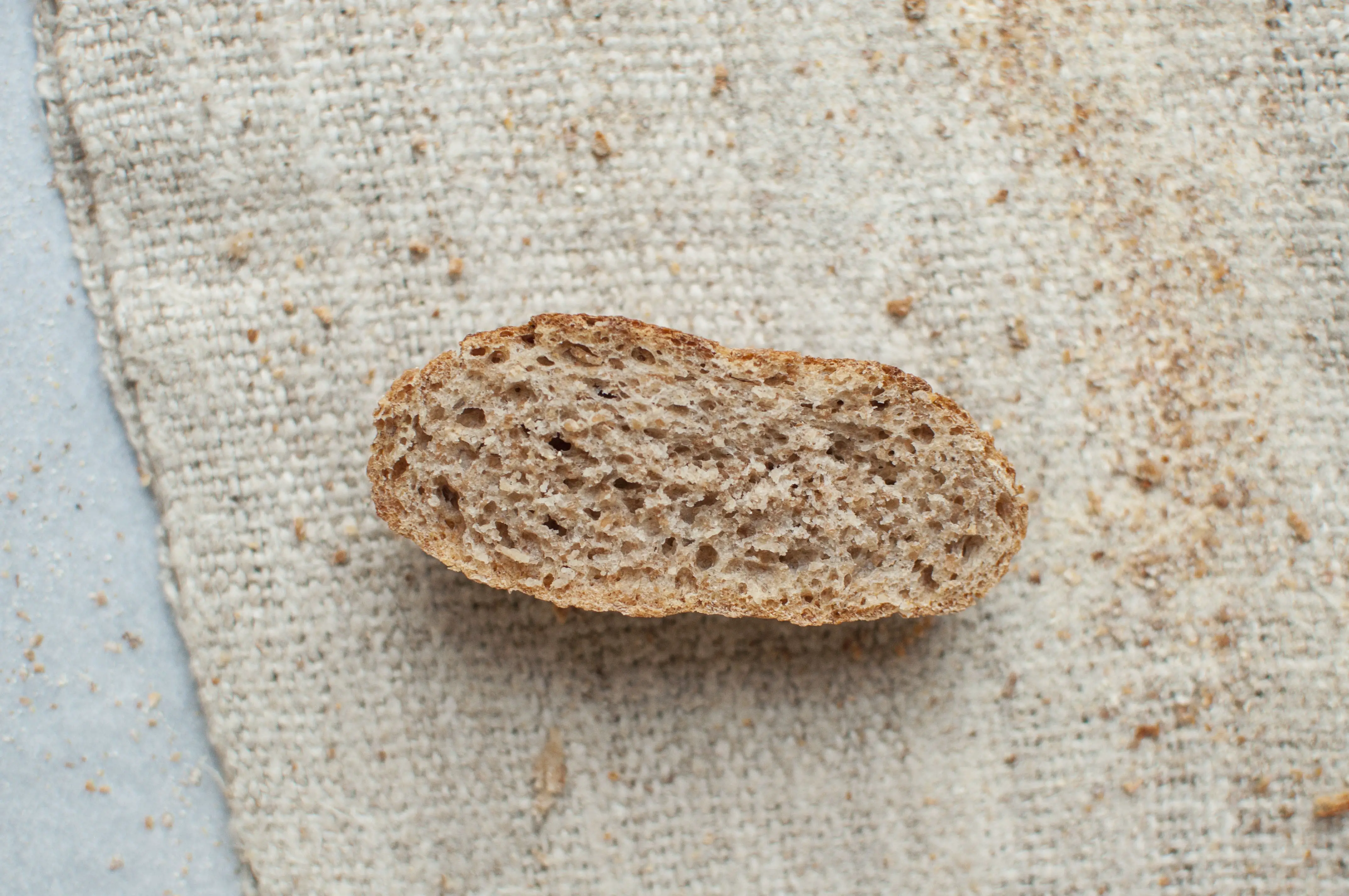 Whole grain wheat loaf crumb