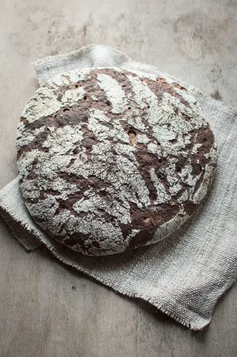 Rustic rye sourdough bread with milk kefir