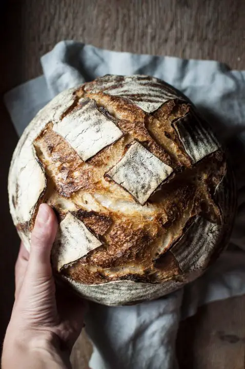 Beginner sourdough recipe: step-by-step guide to perfect sourdough bread