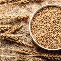 Sourdough vs whole wheat