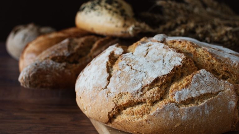 Sourdough vs whole wheat: main differences