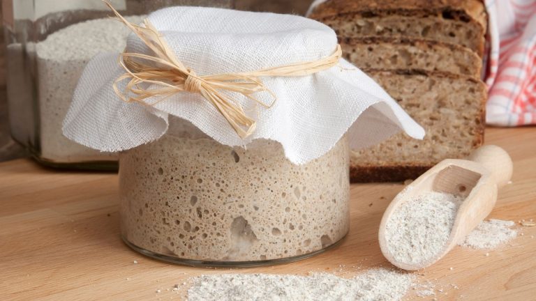 Reasons why sourdough starter smells + ways to fix it