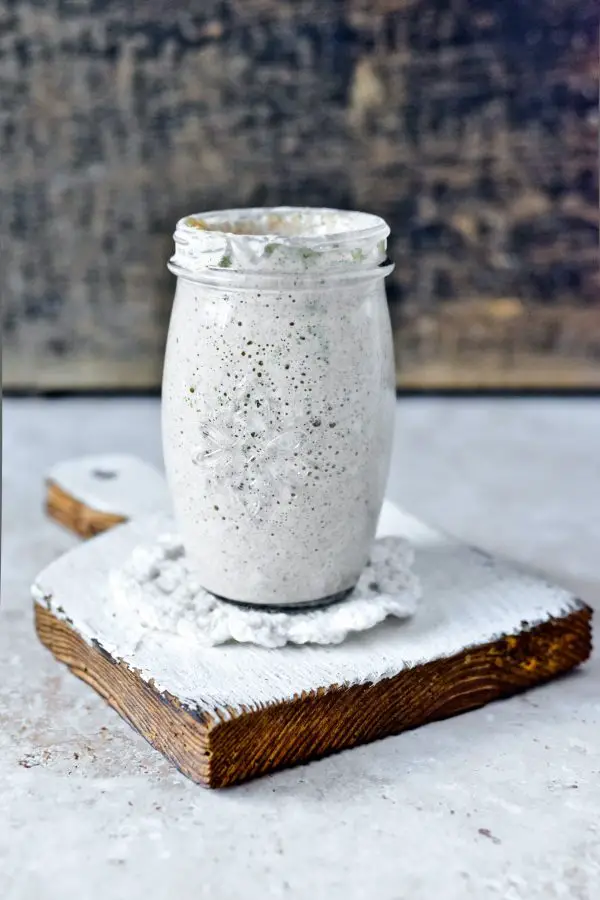 Sourdough starter container: finding the perfect jar