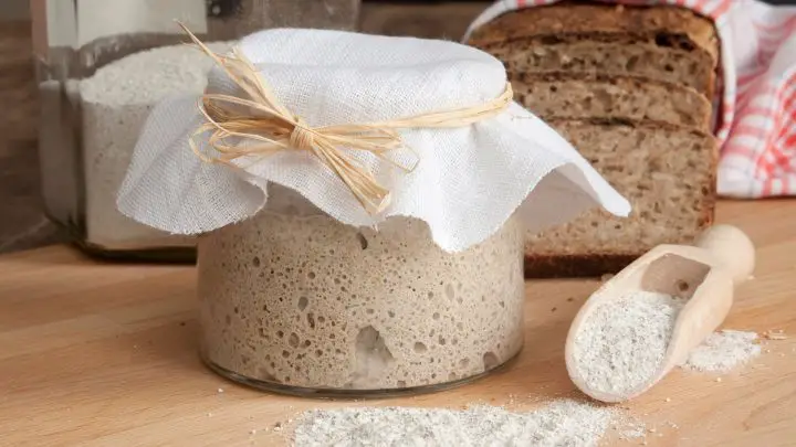 How to store sourdough starter