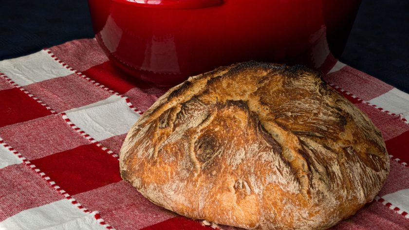 Sourdough Baking Temperature Guide (Everything You Need To Know And Every Step In Between) 1 Sourdough baking temperature guide (everything you need to know and every step in between)
