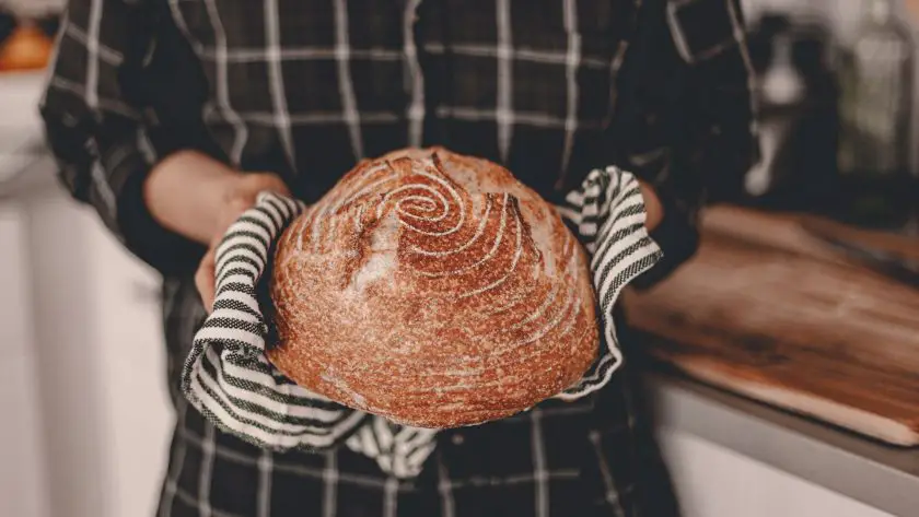 Sourdough bread for beginners: your guide from starter to loaf
