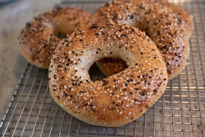 Sourdough bagel recipes - simple steps to a healthier bread