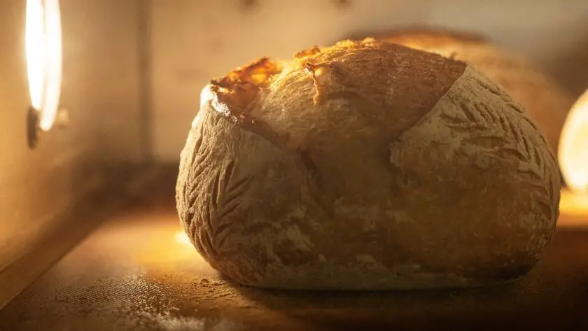 Sourdough baking temperature guide: right temperature to bake sourdough bread