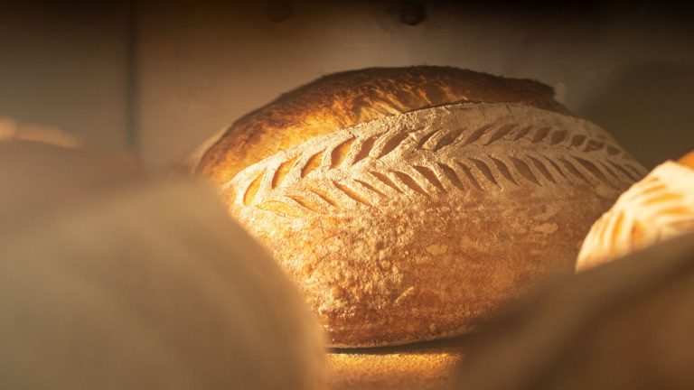 Sourdough baking temperature guide: right temperature to bake sourdough bread