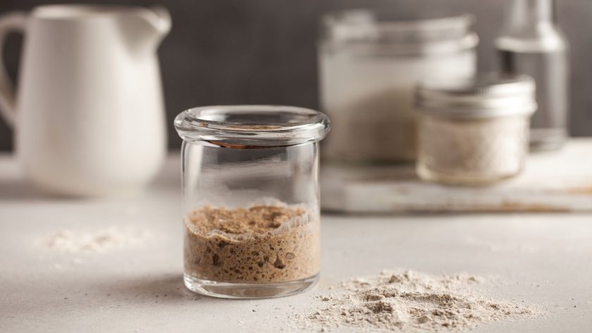 Sourdough starter jar: the essential guide to choosing and using a starter container