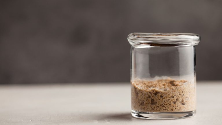 Sourdough starter jar: the essential guide to choosing and using a starter container
