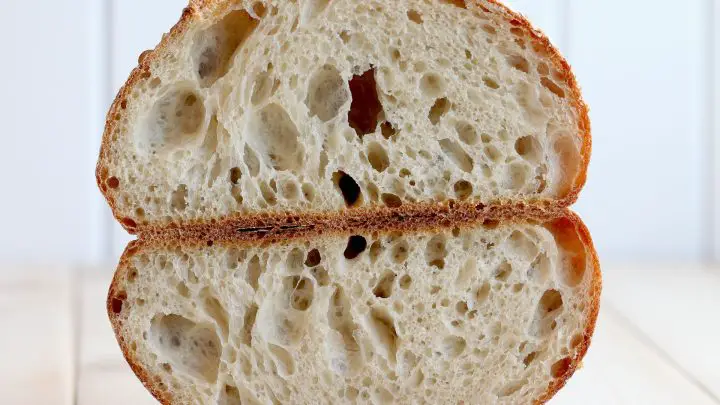 Origins of sourdough bread