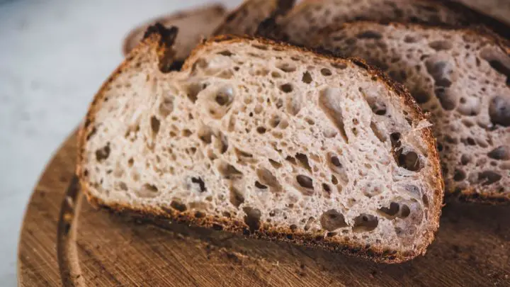 Origins of sourdough bread