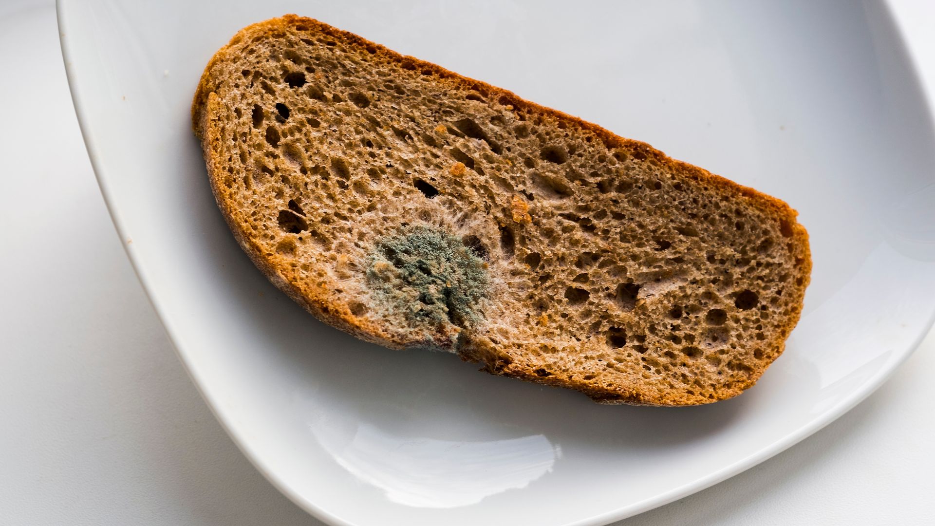 Mold on Sourdough Bread - How to Tell If Sourdough Bread is Bad