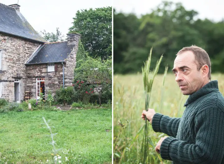 From the seed to the peasant bakery with nicolas supiot