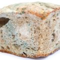 Mold on sourdough bread – how to tell if sourdough bread is bad