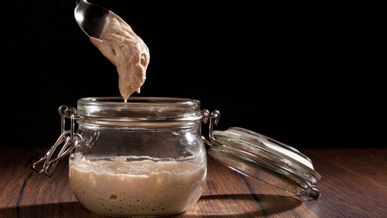 What is a mature sourdough starter? Everything you need to know!