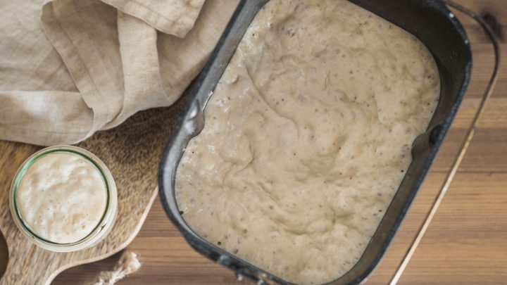 What is a mature sourdough starter? Everything you need to know!