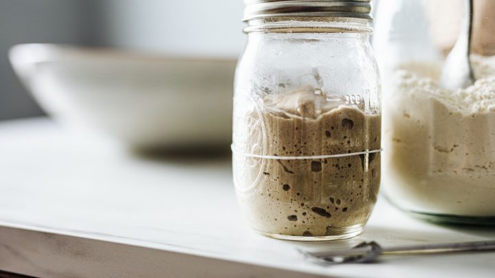 How to reactivate dehydrated sourdough starter