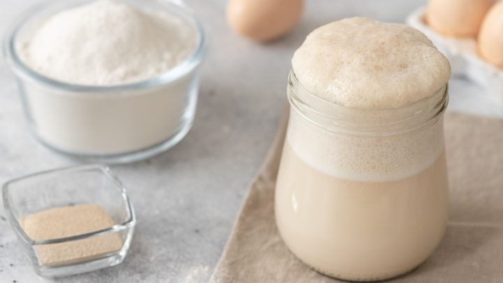 Sourdough starter maintenance: how to feed and maintain your starter