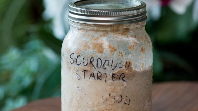 7 oldest sourdough starter in the world [believe it or not! ]
