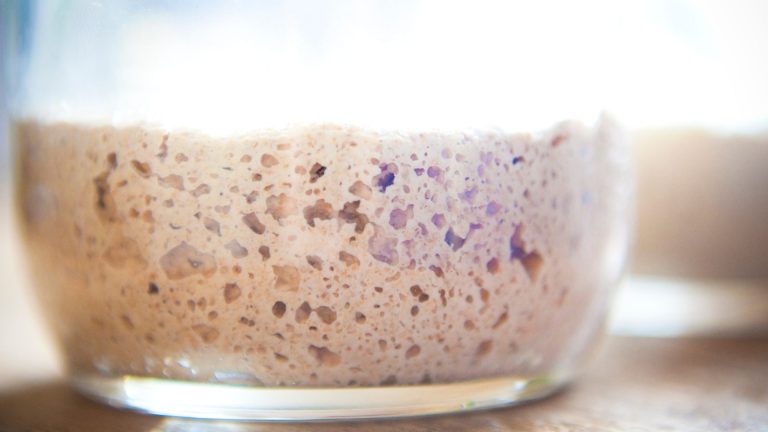 How to fix sourdough starter mold: is that even possible?