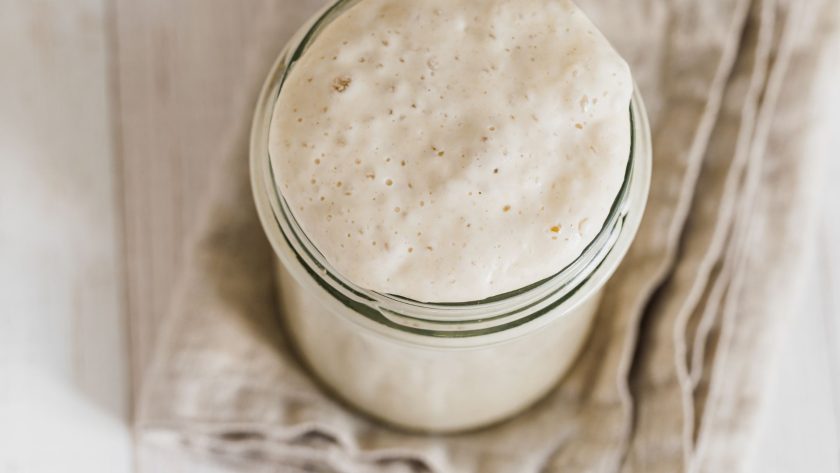 How to fix sourdough starter mold: is that even possible?