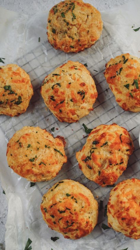 Yummy And Easy Sourdough Cheddar Biscuits Recipe (Using Discard) 109 Yummy and easy sourdough cheddar biscuits