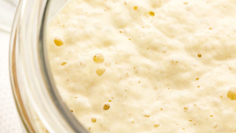 Can i use sourdough starter straight from fridge – yes and here’s how!