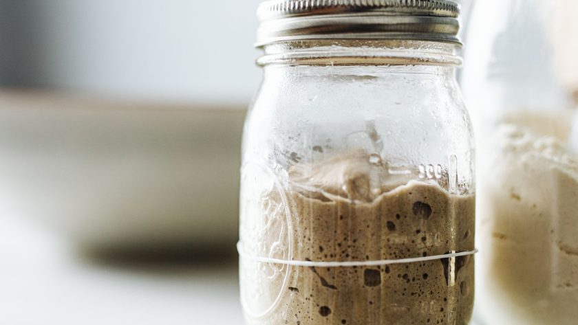 Is my sourdough starter dead – 5 signs to look out for