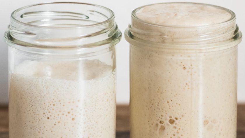 How to strengthen sourdough starter – 7 steps for a stronger starter