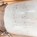 How to freeze sourdough starter [top tips for success]