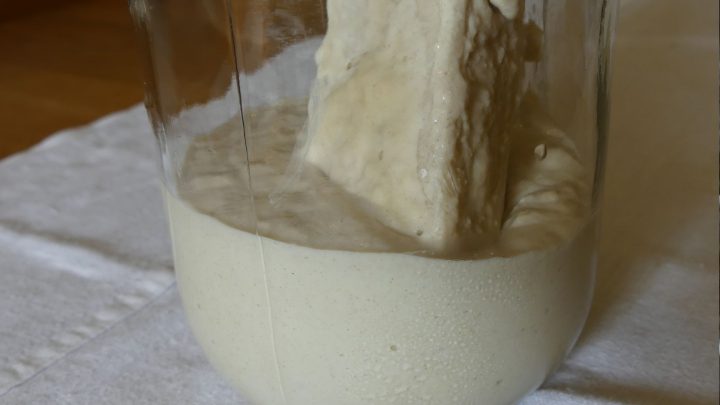 How to discard sourdough starter – tips for disposing of your starter