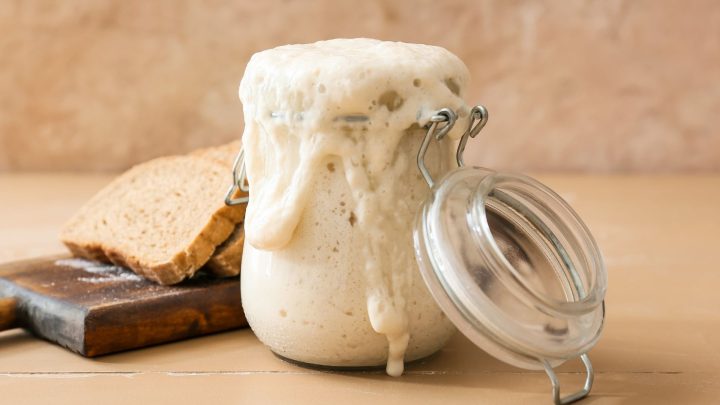 Why discard sourdough starter (reasons and benefits)