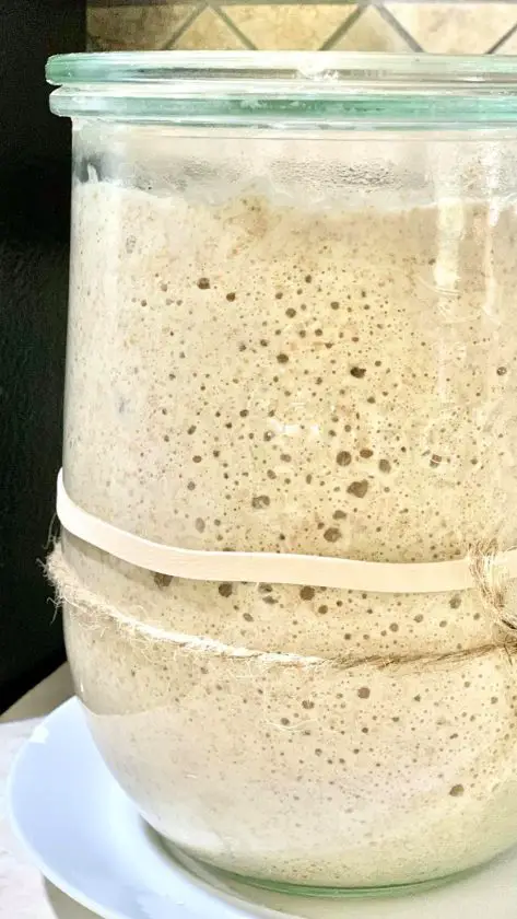 Common problems with sourdough starter