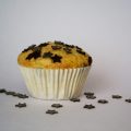 Sourdough pumpkin chocolate chip muffins