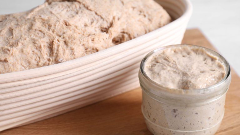 The beginner’s guide to making your first sourdough starter