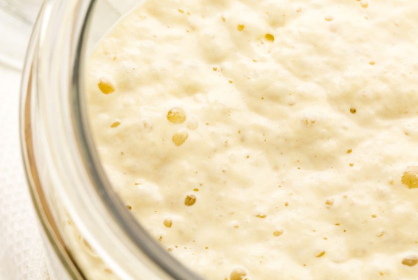 How To Dehydrate Sourdough Starter: Step-By-Step Guide For Long-Term Storage 1 How to dehydrate sourdough starter: step by step guide for long term storage