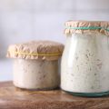 How To Rehydrate Sourdough Starter: Step-By-Step Guide For Beginners 8 How to rehydrate sourdough starter