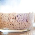 Why Is My Sourdough Starter Not Rising? (And How To Fix It) 7 Why is my sourdough starter not rising