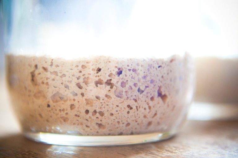 Why is my sourdough starter not rising