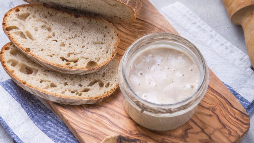 How to know if sourdough starter is bad: 15 signs and expert fixes
