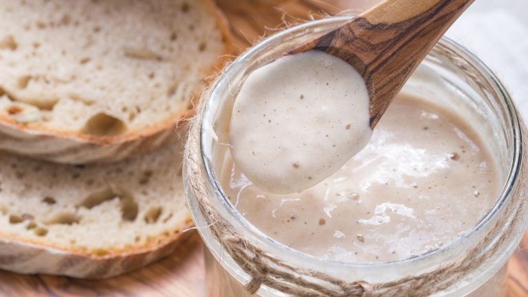 How to know if sourdough starter is bad: 15 signs and expert fixes