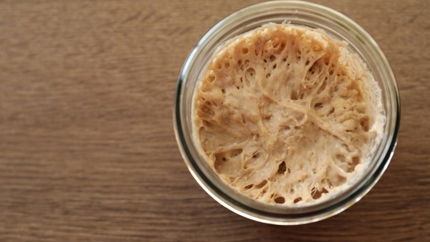 When is sourdough starter ready to bake with?