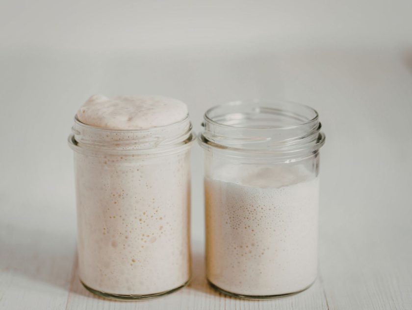 What should sourdough starter look like