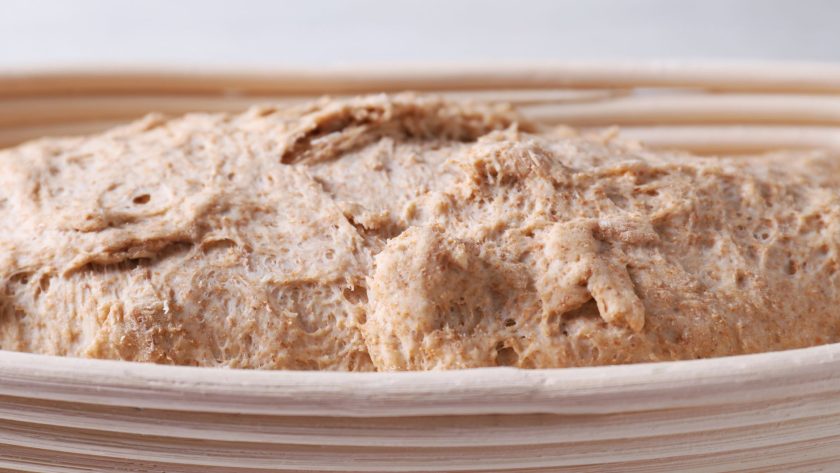 Proofing Sourdough Without A Proofing Box (Winter Hacks) 1 Proofing sourdough without a proofing box (winter hacks)