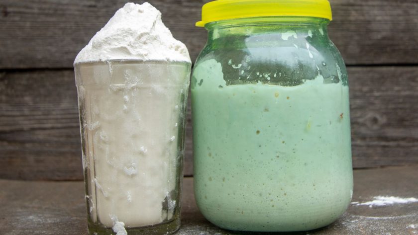 How to maintain a sourdough starter (without wasting so much flour)