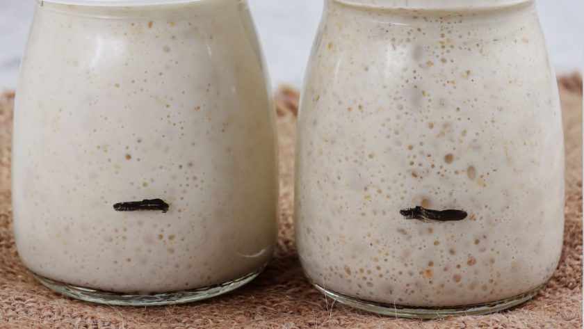 Rise Timing Vs. Age Of Sourdough Starter (What Actually Changes As Your Starter Gets Older) 1 Rise timing vs. Age of sourdough starter (what actually changes as your starter gets older)