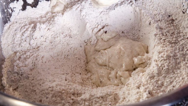 How to maintain a sourdough starter (without wasting so much flour)